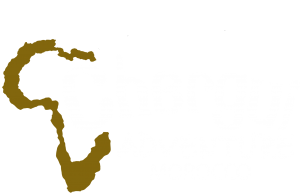 Chergui Adventure
